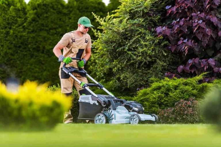 Sitemapcdatahttpsshopinf Inetcompeut On Tondre Le Dimanche Avec Une Tondeuse Electrique