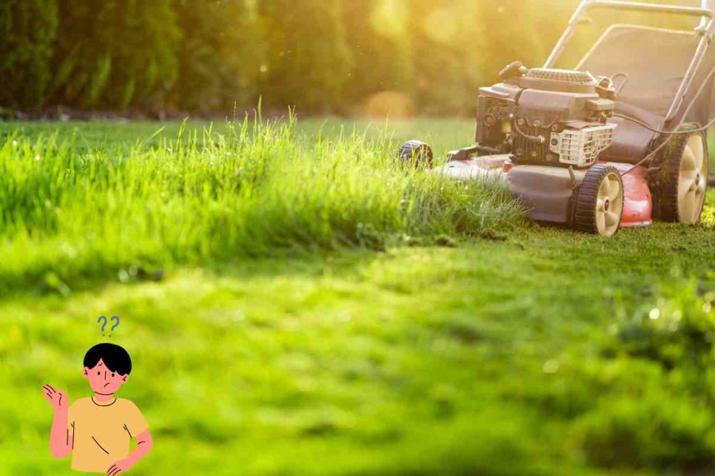 horaires pour tondre le dimanche avec une tondeuse electrique 