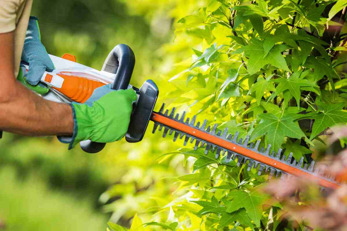Sitemapcdatahttpwen2windecoocomtaille Haie Greenworksnull